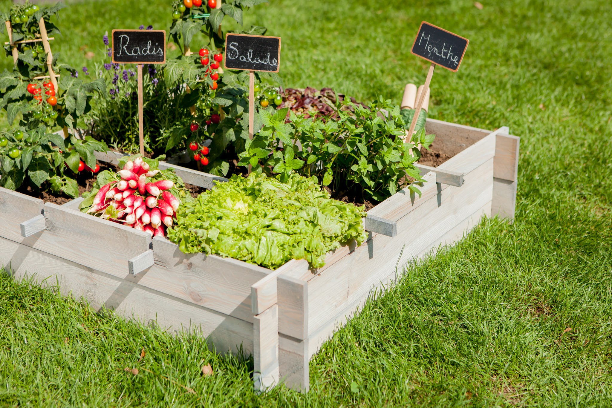 comment-faire-son-potager