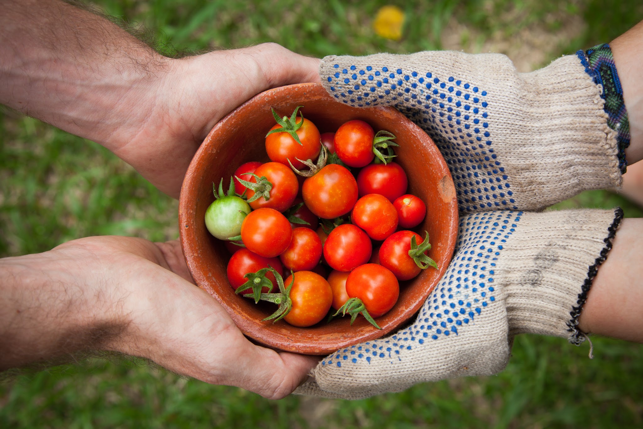 faire-jardin-bioet-durable-conditions