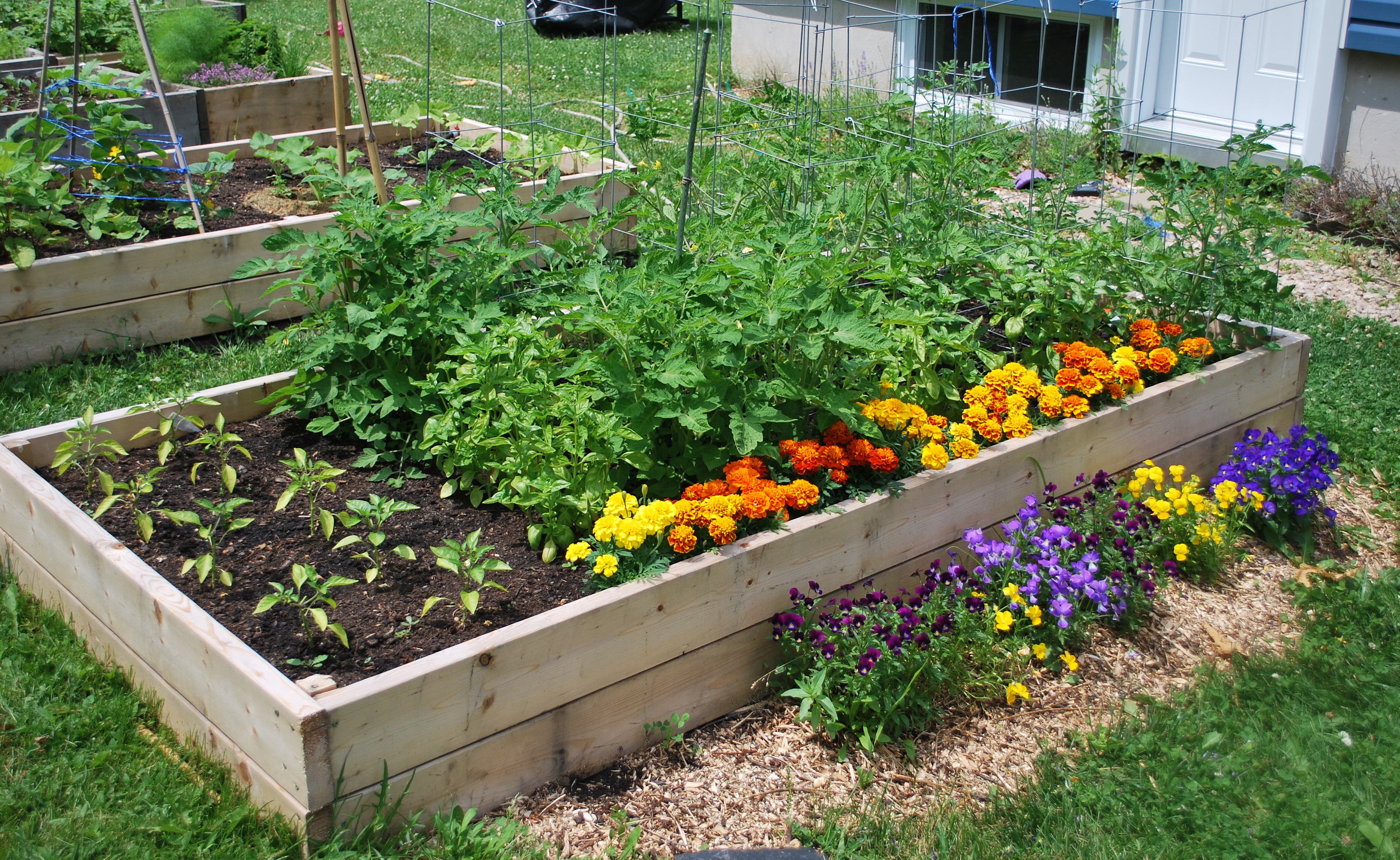 Le Jardin Bio Des Cleïottes à Le Pertre 