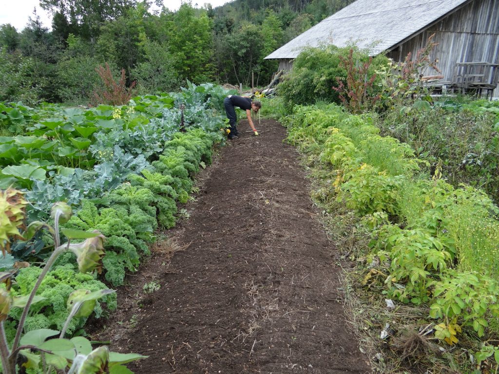 Une femme en train de travailer dans son potager