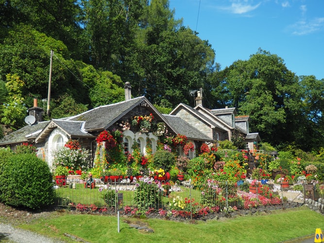 Maison au jardin très fleuri avec beaucoup de plantes vertes