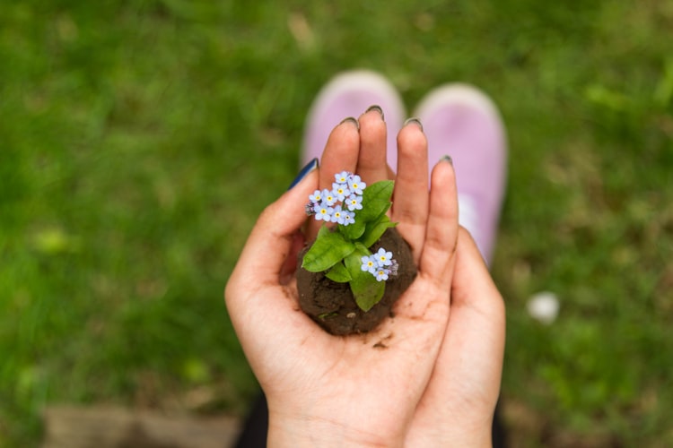 Jeune femme à la main verte qui tient une plante au creux de sa main