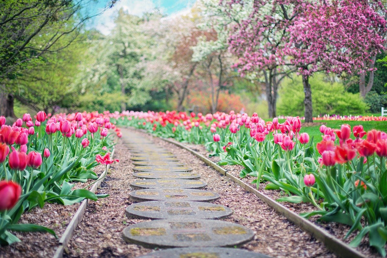 chemin en pierres entouré de fleurs